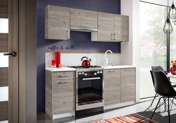 Ecomodel 1,8 wariant 1