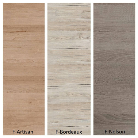 Ecomodel 2,1 wariant 1