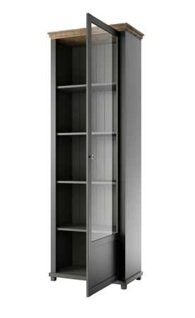 EVORA TYP 06 WM-WITRYNA 1D