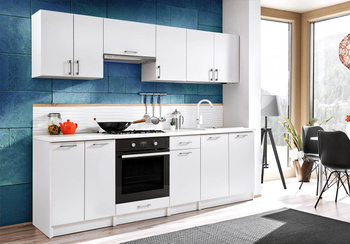 Ecomodel 2,4 wariant 2