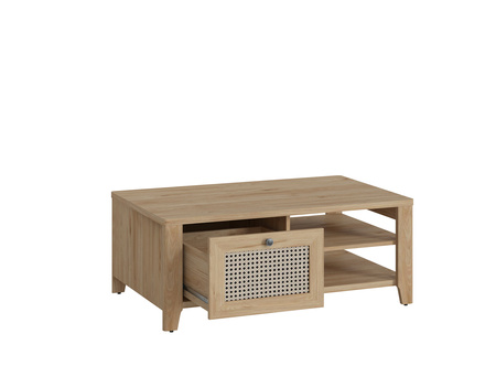 Cestino VNNT02 Stolik 1S