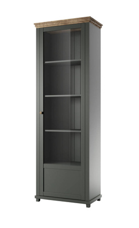 EVORA TYP 06 WM-WITRYNA 1D