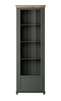 EVORA TYP 06 WM-WITRYNA 1D