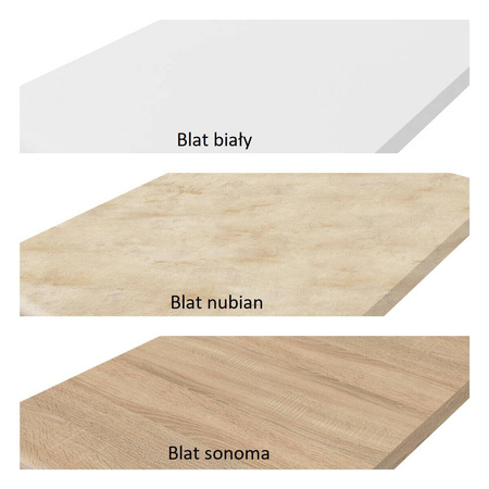 Ecomodel 1,8 wariant 2