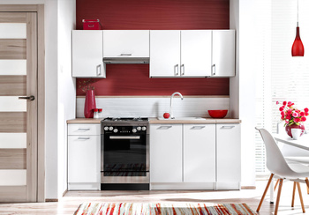 Ecomodel 2,1 wariant 1