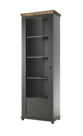 EVORA TYP 05 WM-WITRYNA 1D