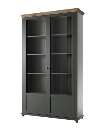 EVORA TYP 13 WM-WITRYNA 2D